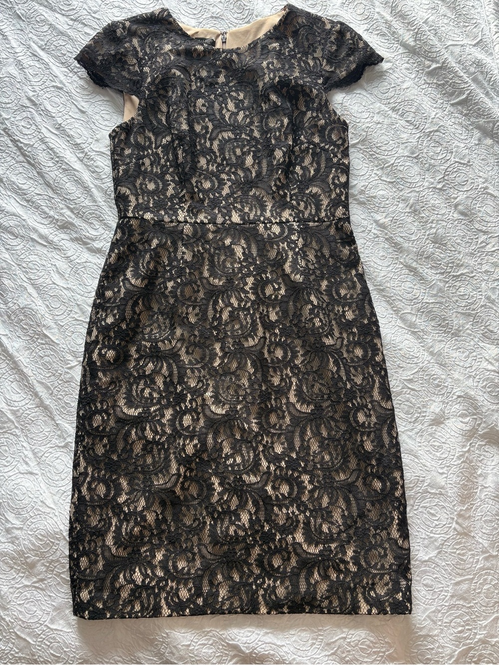 Talbots Black Lace Overlay Midi Dress with Nude Underlay